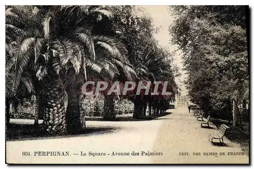 Ansichtskarte AK Perpignan Le Square Avenue des Palmiers