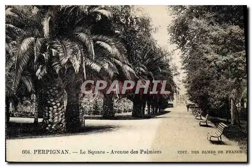 Cartes postales Perpignan Le Square Avenue des Palmiers