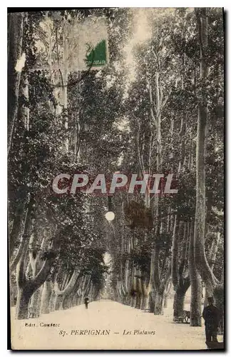Cartes postales Perpignan Les Platanes