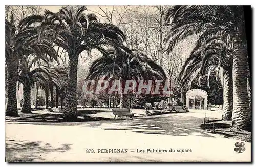 Cartes postales Perpignan Les Palmiers du square