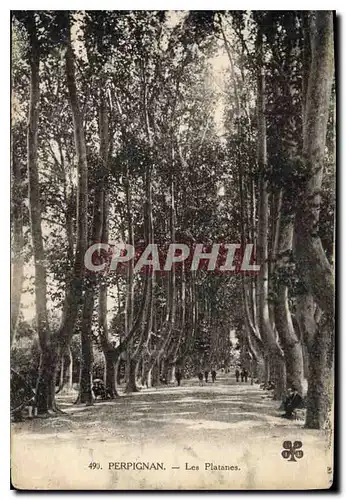 Cartes postales Perpignan Les Platanes