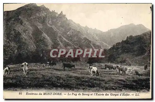 Cartes postales Environs du Mont Dore Le Puy de Sancy et l'Entree des Gorges d'Enfer Vaches