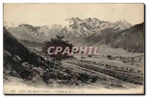 Ansichtskarte AK Environs dy Mont Dore Chemin du Sancy