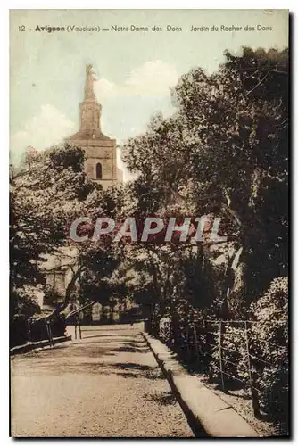 Ansichtskarte AK Avignon Notre Dame des Doms Jardin du Rocher des Doms