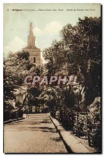 Cartes postales Avignon Notre Dame des Doms Jardin du Rocher des Doms
