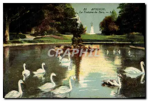 Ansichtskarte AK Avignon La Fontaine du Parc Cygnes