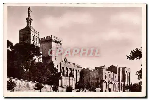 Cartes postales Avignon Le Pont Saint Benezet vu du Rocher des Doms et le Rhone