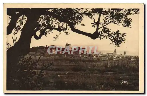 Cartes postales Avignon La Ville vue a travers les Oliviers