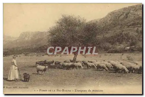 Ansichtskarte AK Foret de La Sainte Baume Troupeau de moutons Femme