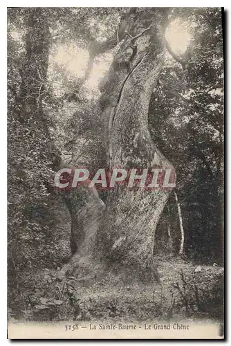 Ansichtskarte AK La Sainte Baume Le Grand Chene