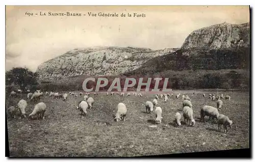 Ansichtskarte AK La Sainte Baume Vue generale de la Foret Moutons