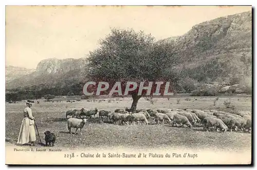 Cartes postales Chaine de la La Sainte Baume et le Plateau du Plan d'Aups Moutons Femme