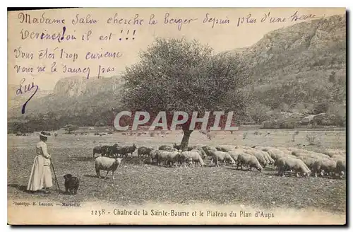 Cartes postales Chaine de la La Sainte Baume et le Plateau du Plan d'Aups Moutons Femme