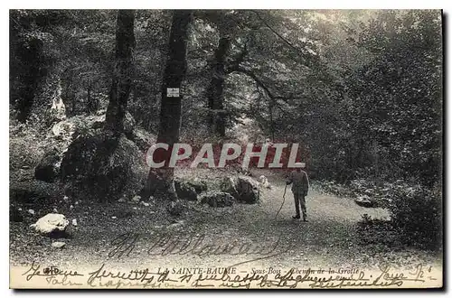 Cartes postales La Sainte Baume Chemin de la Grotte