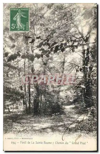 Cartes postales Foret de La Sainte Baume Chemin du Grand Prad