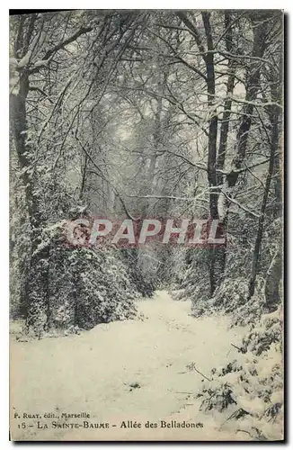 Ansichtskarte AK La Sainte Baume Allee des Belladones