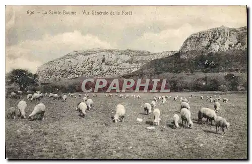 Ansichtskarte AK La Sainte Baume Vue generale de la Foret