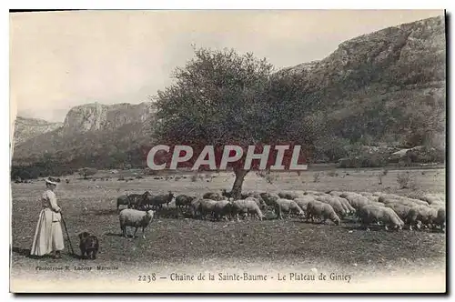 Cartes postales Chaine de La Sainte Baume Le Plateau de Giniez Femme Moutons