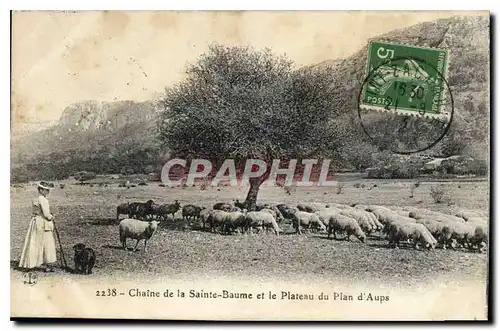 Cartes postales Chaine de La Sainte Baume et le Plateau du Plan d'Aups Femme Moutons