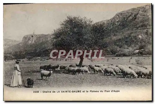 Cartes postales Chaine de La Sainte Baume et le Plateau du Plan d'Aups Femme Moutons