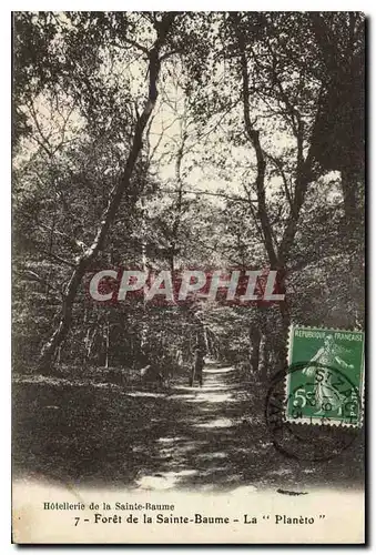 Cartes postales Foret de La Sainte Baume La Planeto