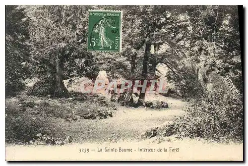 Ansichtskarte AK La Sainte Baume Interieur de la Foret