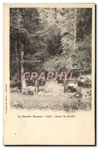 Cartes postales La Sainte Baume dans la Foret