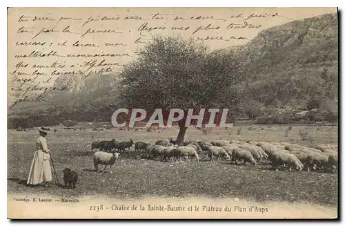 Ansichtskarte AK Chaine de La Sainte Baume et le Plateau du Plan d'Aups La Sainte Baume Femme Moutons