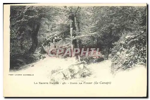 Cartes postales La Sainte Baume Dans la Foret (Le Canape)