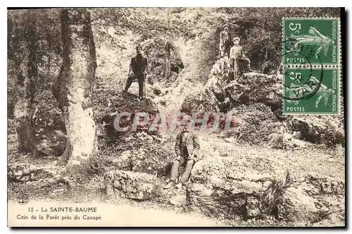 Ansichtskarte AK La Sainte Baume Coin de la Foret pres du Canape