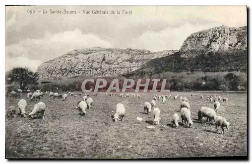 Ansichtskarte AK La Sainte Baume Vue generale de la Foret Moutons