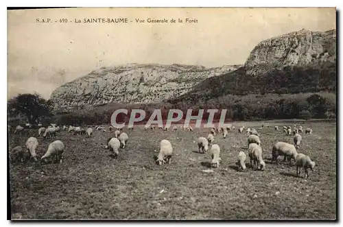 Ansichtskarte AK La Sainte Baume Vue generale de la Foret Moutons