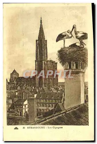 Cartes postales Strasbourg Les Cigognes