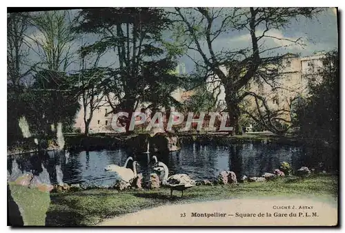 Cartes postales Montpellier Square ed la Gare du PLM