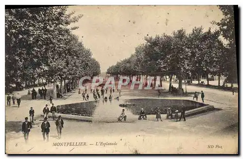 Cartes postales Montpellier L'Esplanade