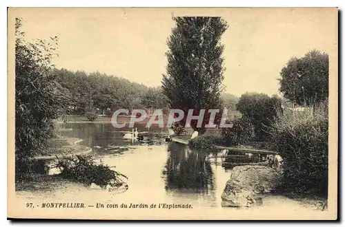 Ansichtskarte AK Montpellier Un coin du Jardin de l'Esplanade