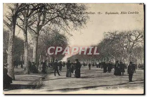 Cartes postales Montpellier Esplanade Allee Centrale