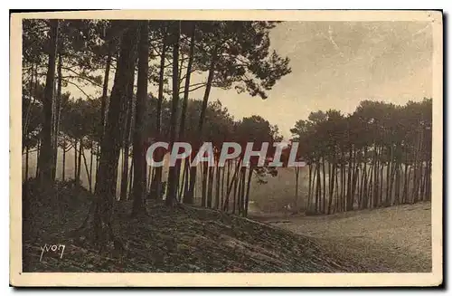 Ansichtskarte AK Arcachon Les grandes Dunes de la Ville d'Hiver