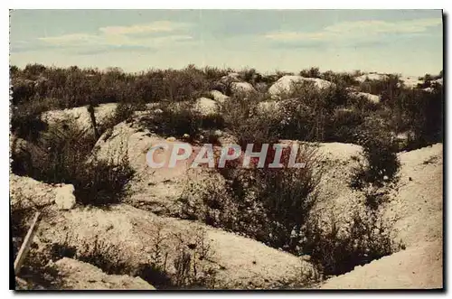 Ansichtskarte AK La Grande Guerre (ses Ruines) Sommet du Plateau de Craonne Vers le Chemlin des Dames Militaria
