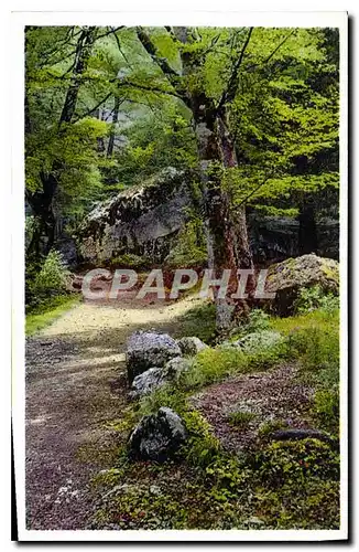 Ansichtskarte AK Hotellerie de la Sainte Baume St Zacharie (Var)