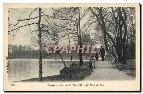 Ansichtskarte AK Lyon Parc de la Tete d'Or Le Pont de bois