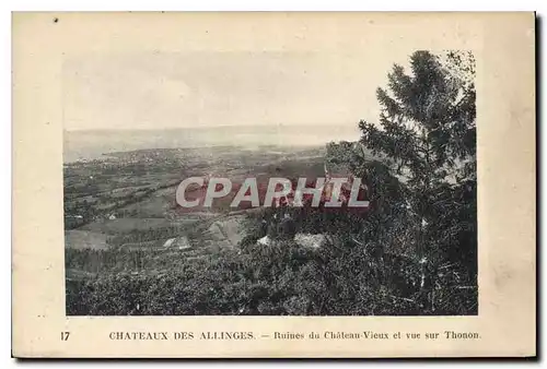 Cartes postales Chateau des Allinges Ruines du Chateau Vieux et vue sur Thonon