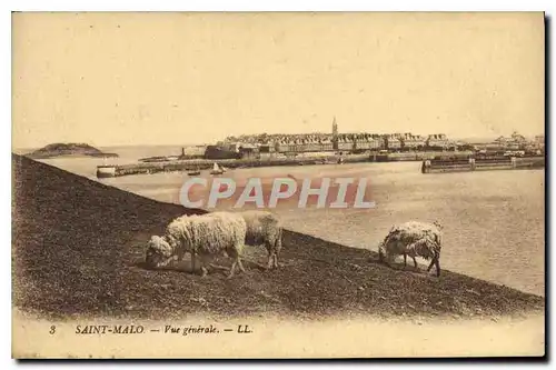 Ansichtskarte AK Saint Malo Vue generale Moutons