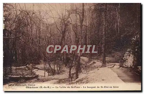 Cartes postales Gemenos B du R La Vallee de St Pons Le bosquet de St Eloi en hiver