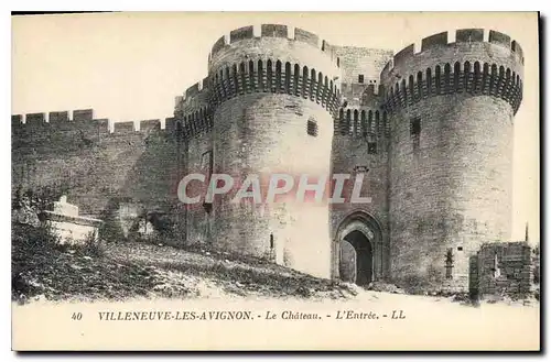 Cartes postales Villeneuve les Avignon Le Chateau L'Entree