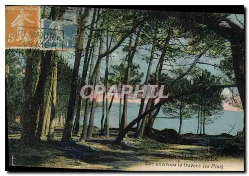 Cartes postales Les Environs a travers les Pins