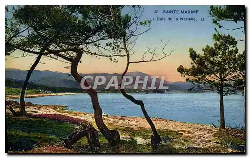 Ansichtskarte AK Sainte Maxime La Baie de la Nartelle