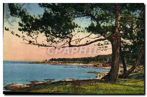 Cartes postales Sainte Maxime