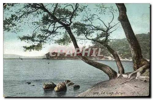 Cartes postales Le Cap Brun