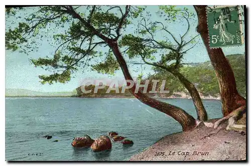 Cartes postales Le Cap Brun